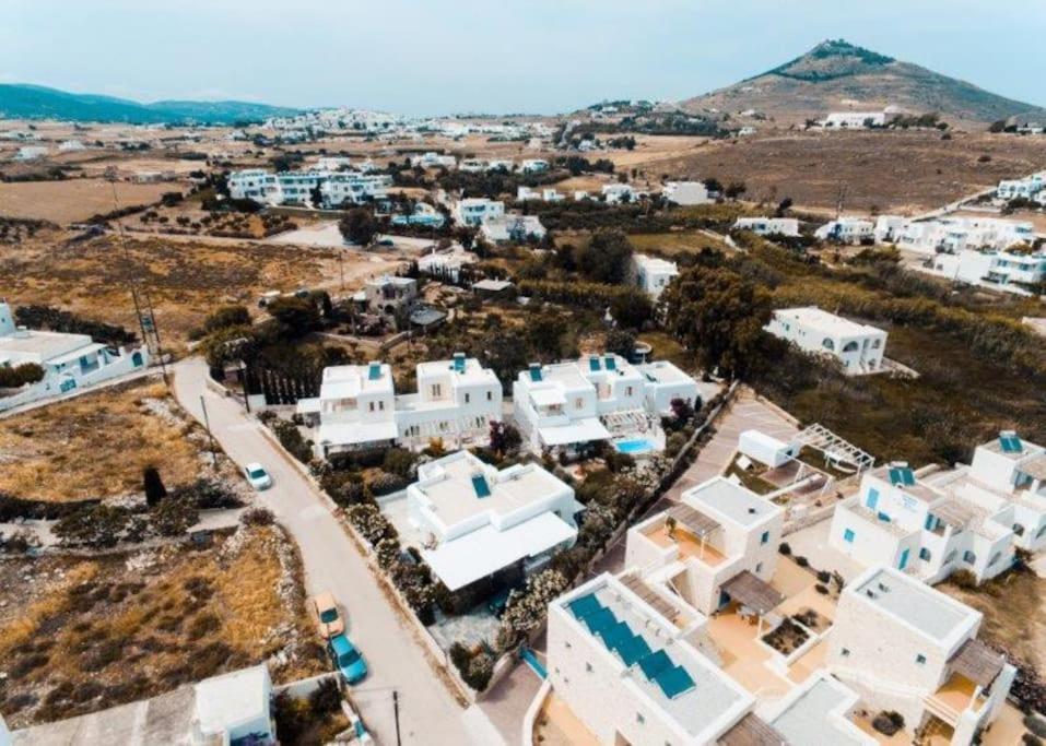 Nausithoe 1 Paros Logaras