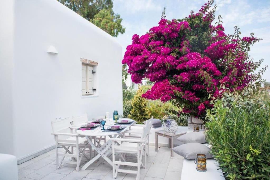 Apartment Nausithoe 1 Paros Logaras