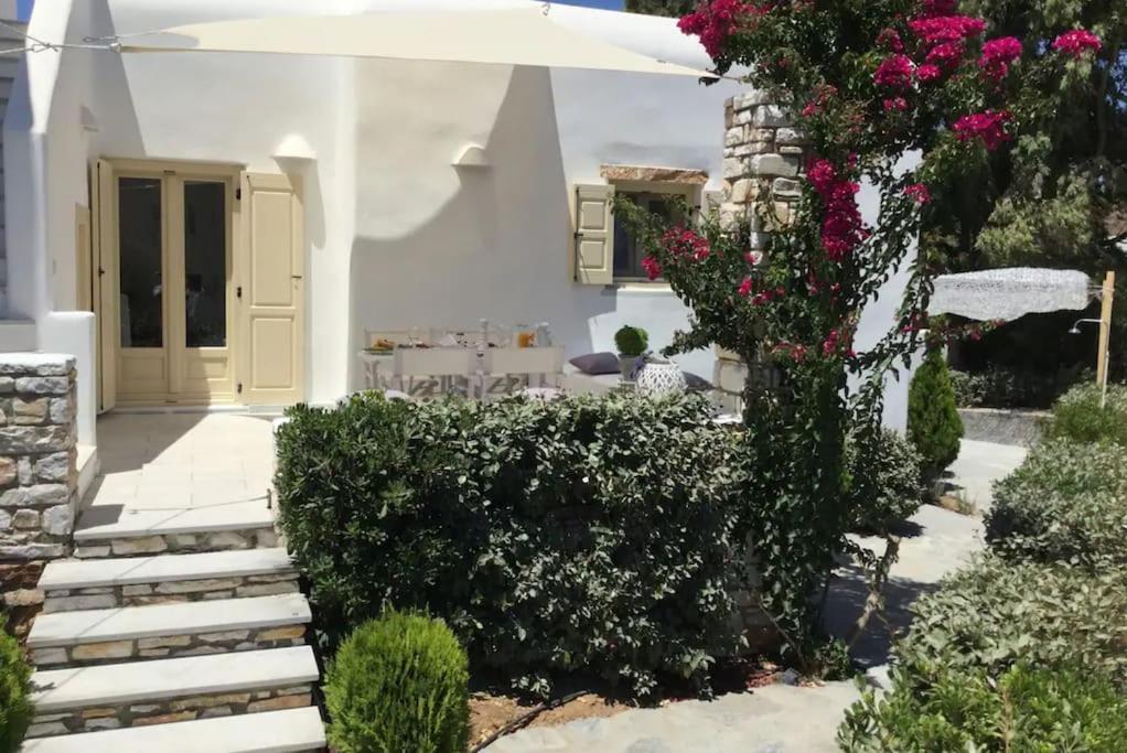 Apartment Nausithoe 1 Paros