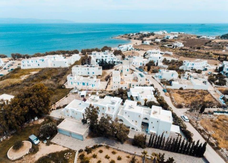 Nausithoe 1 Paros * Logaras