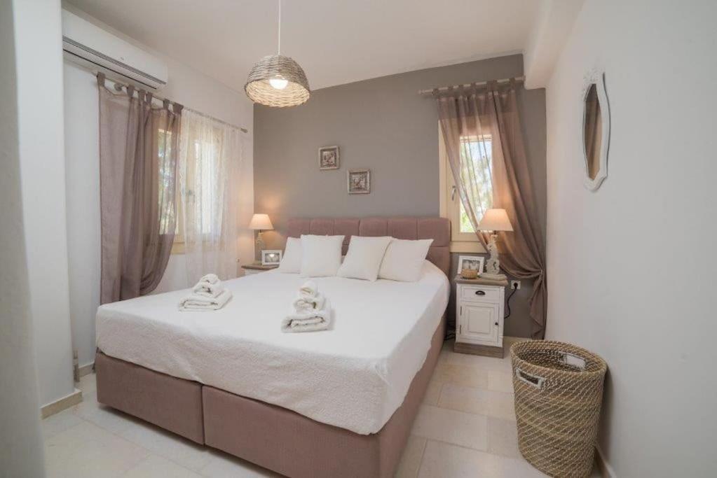 Nausithoe 1 Paros *