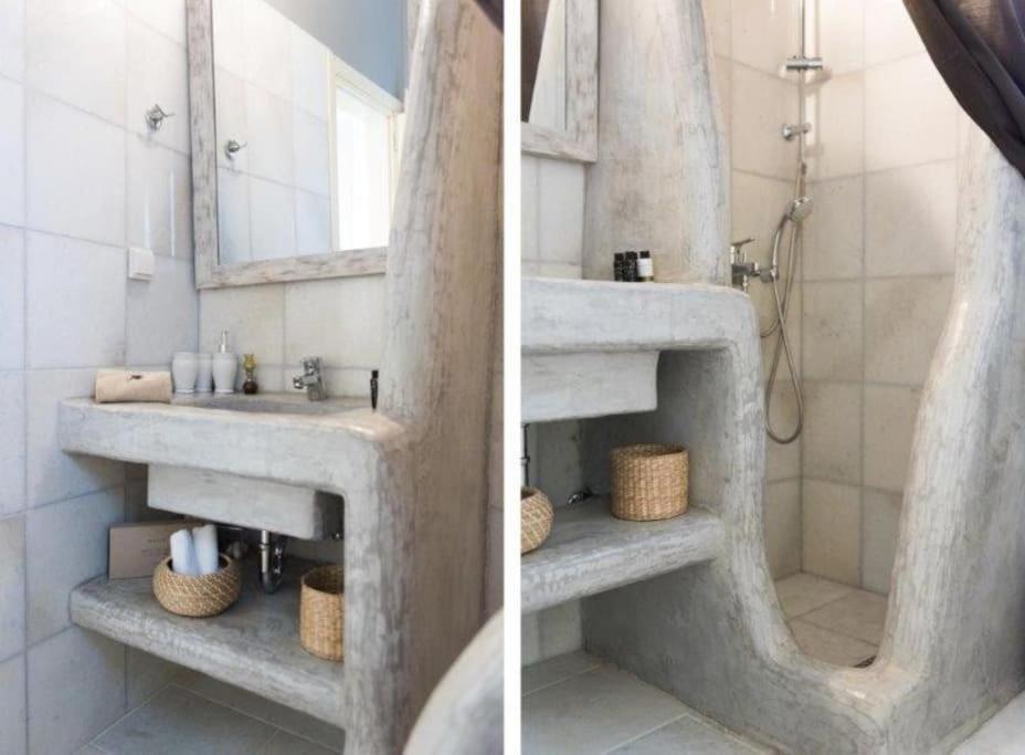 Nausithoe 1 Paros