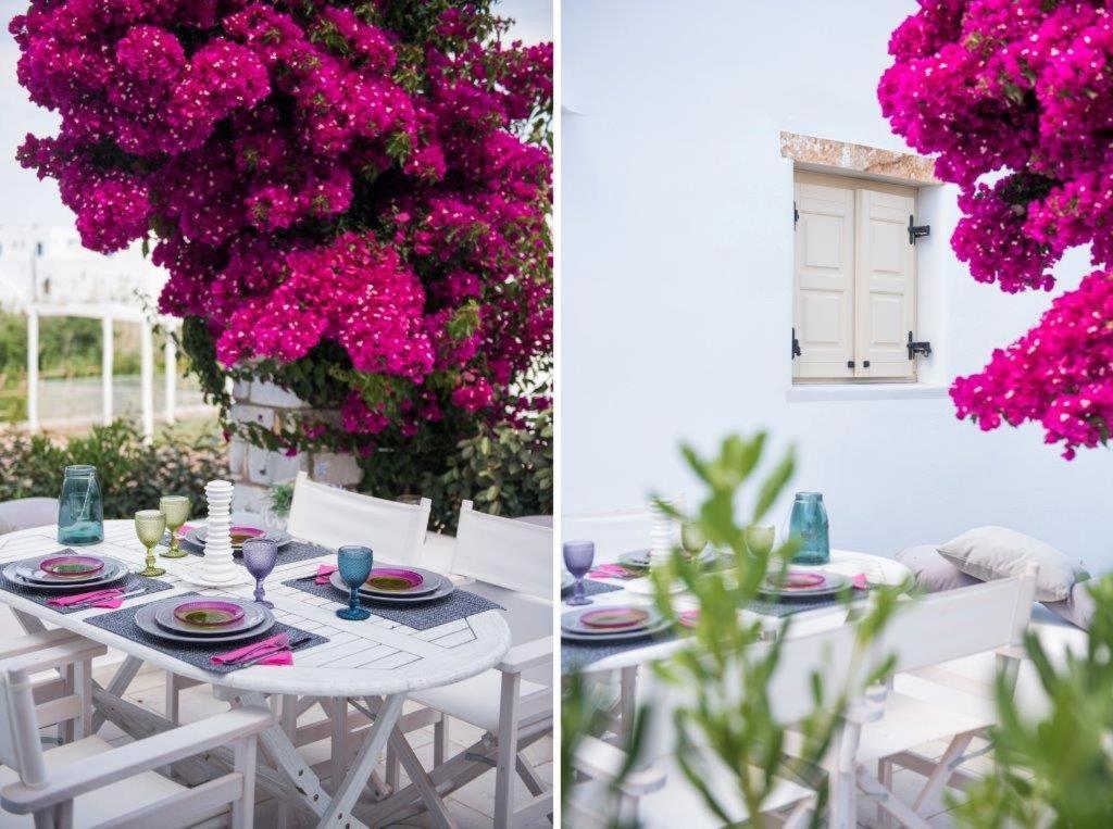 Nausithoe 1 Paros * Logaras
