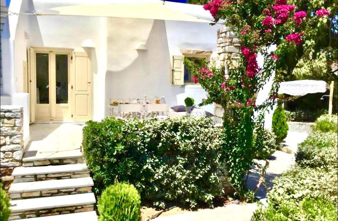 Nausithoe 1 Paros